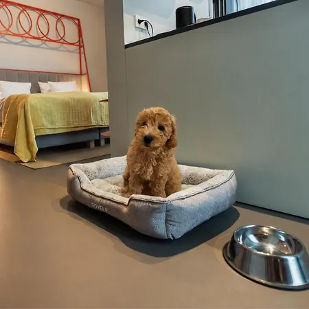 Hotel Noxx *